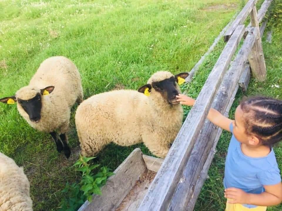 Namelis Nr 2 Adeles Sodyba Muize Exterior foto